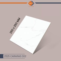 Kích thước gạch Đồng Tâm 30x60