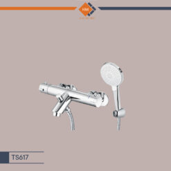 TS617
