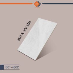 B01-4802---600X300