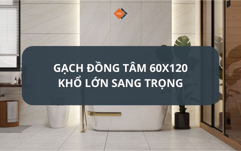 Gạch Đồng Tâm 60x120 khổ lớn sang trọng