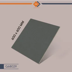 Kích thước gạch Taicera 60x60