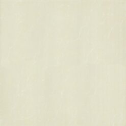 Gạch Taicera - P67763N - Mài Bóng Fossil Series 5 P67763N