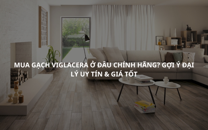 Mua Gạch Viglacera Ở Đâu Chính Hãng Gợi Ý Đại Lý Uy Tín & Giá Tốt