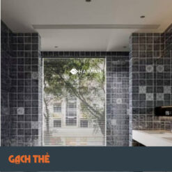 Phối cảnh gạch thẻ TT125XA