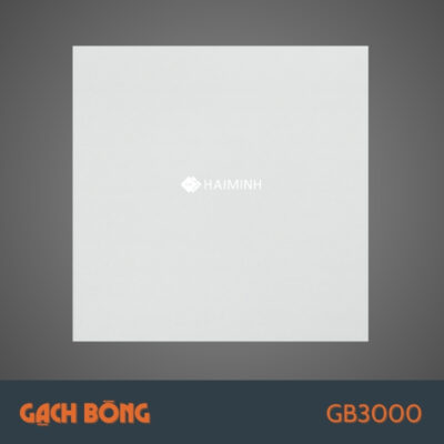 GB3000