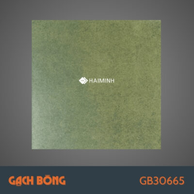 GB30665