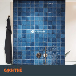 Phối cảnh gạch thẻ TT1212XD