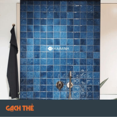 Phối cảnh gạch thẻ TT1212XD